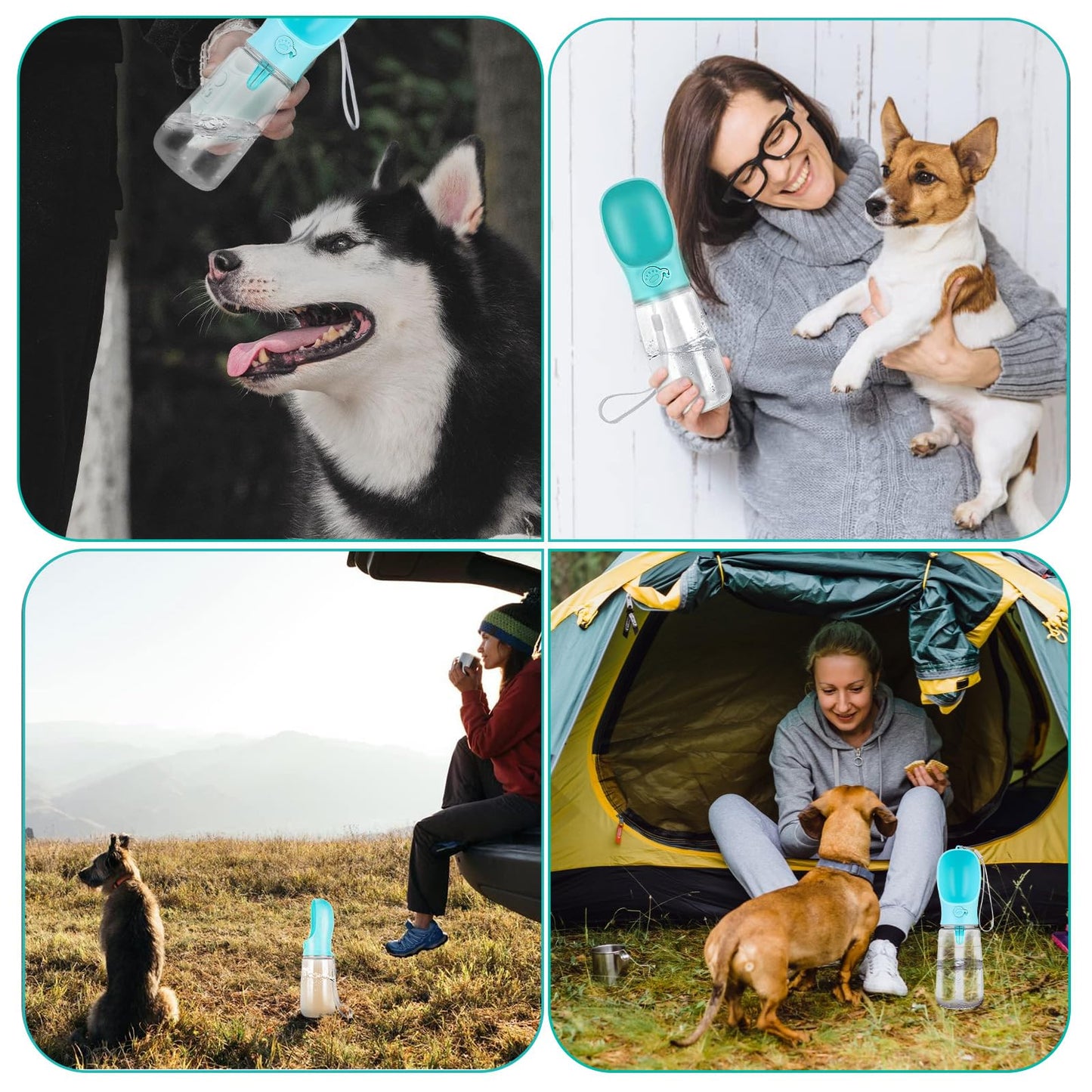 🐶💧 Botella de Agua para Perros | Antifugas, Portátil y Segura para Mascotas 🦴🚶‍♂️